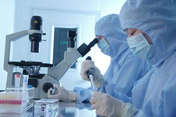 诺辉健康CEO辞职后再遭罢免 董事会持续震荡